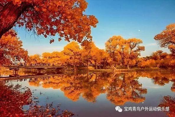组装机械警暴龙2